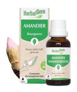 Amandier (Prunus amygdalus) bourgeon BIO, 30 ml